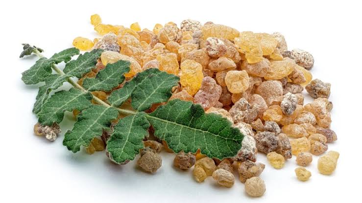 Boswellia Serrata